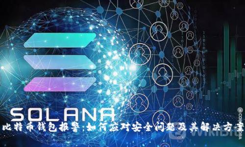 比特币钱包报警：如何应对安全问题及其解决方案