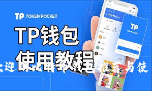 最受欢迎的比特币钱包推荐与使用指南