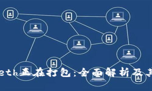 tpWalleteth正在打包：全面解析及其使用方法