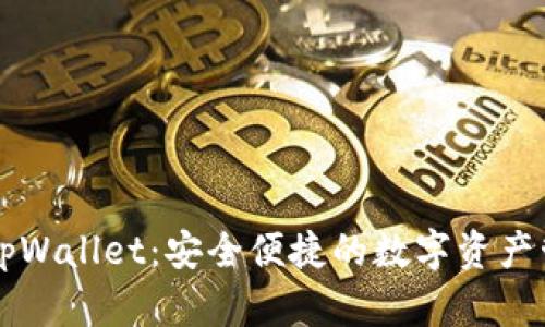 货币转tpWallet：安全便捷的数字资产管理方式