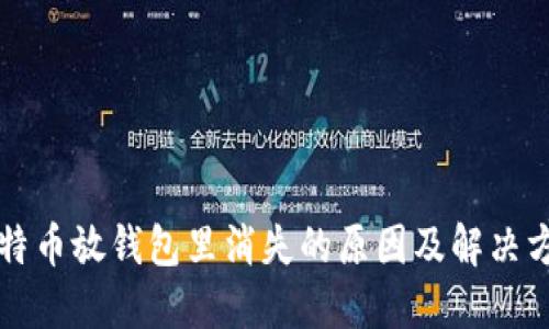 比特币放钱包里消失的原因及解决方案