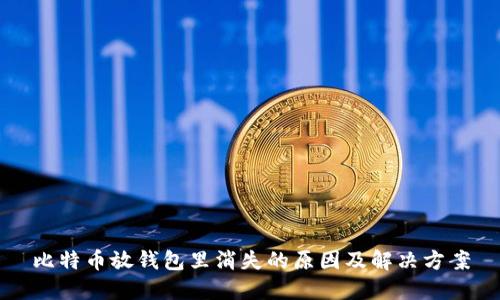 比特币放钱包里消失的原因及解决方案