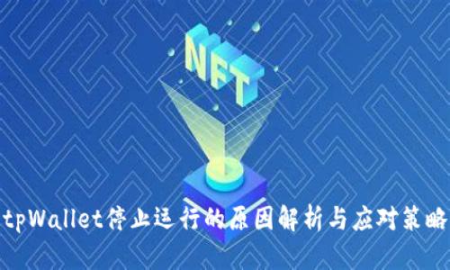 tpWallet停止运行的原因解析与应对策略