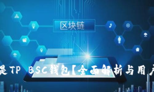 什么是TP BSC钱包？全面解析与用户指南