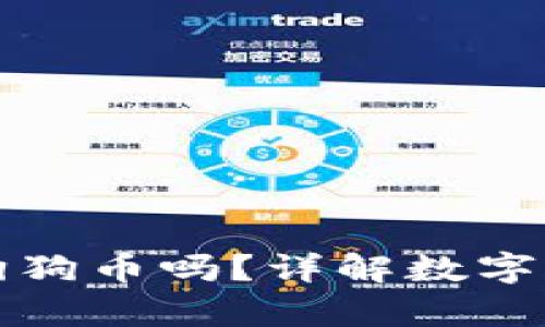 壹钱包能放狗狗币吗？详解数字货币存储方案
