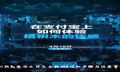 LTC钱包备份文件怎么找回？详细步骤与注意事项！