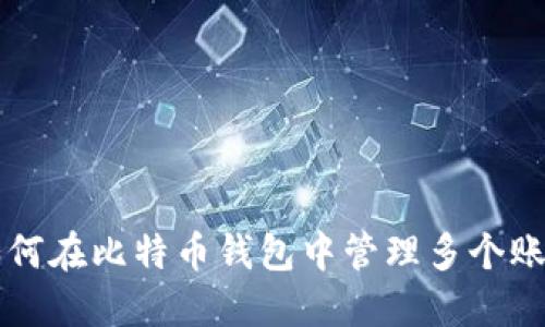 如何在比特币钱包中管理多个账户