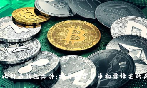2011年比特币钱包文件：揭开数字货币初露锋芒的历史密码