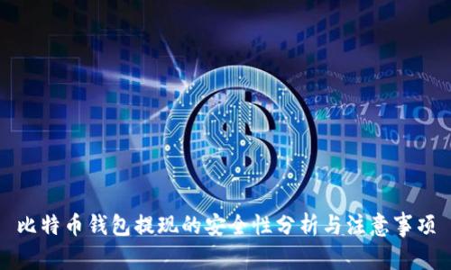 比特币钱包提现的安全性分析与注意事项
