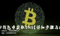如何在TP钱包中获取BNB？详细步骤与技巧解析