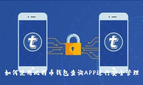 如何使用比特币钱包查询APP进行安全管理