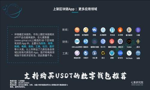 支持购买USDT的数字钱包推荐