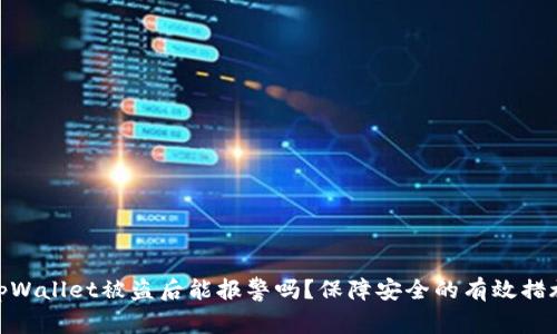 tpWallet被盗后能报警吗？保障安全的有效措施