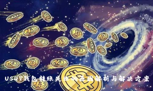 USDT钱包转账失败的原因解析与解决方案