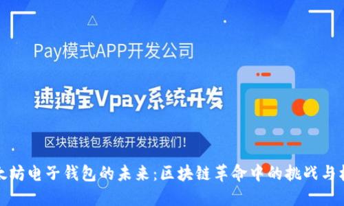 以太坊电子钱包的未来：区块链革命中的挑战与机遇