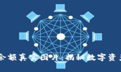 USDT钱包大额余额真实图片：揭秘数字资产的魅力