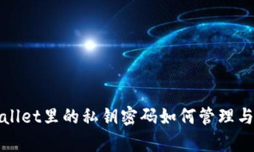 tpWallet里的私钥密码如何管理与保护