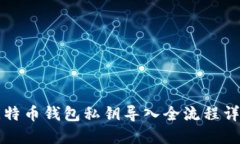 比特币钱包私钥导入全流程详解