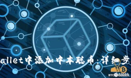 如何在tpWallet中添加中本聪币：详细步骤与小贴士