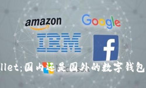 探秘tpWallet：国内还是国外的数字钱包解决方案？