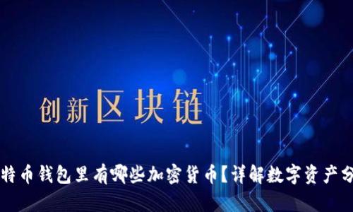 比特币钱包里有哪些加密货币？详解数字资产分类