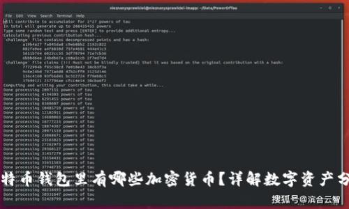比特币钱包里有哪些加密货币？详解数字资产分类