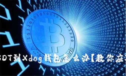 转错USDT到Xdog钱包怎么办？教你应对策略！