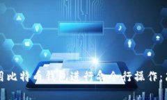 如何使用比特币钱包进行命令行操作：简单指南