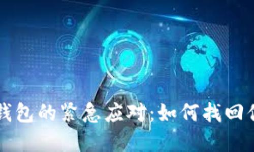 丢失狗狗币钱包的紧急应对：如何找回你的加密资产