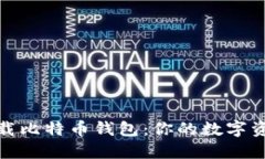 如何轻松下载比特币钱包：你的数字资产管理之