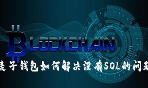 麦子钱包如何解决没有SOL的问题