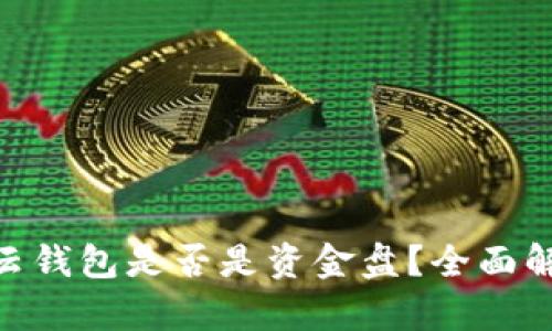 Cloud Token云钱包是否是资金盘？全面解析与风险提示