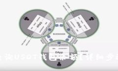 : 如何查询USDT钱包余额？详细步骤与技巧