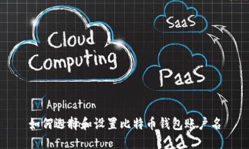 如何选择和设置比特币钱包账户名