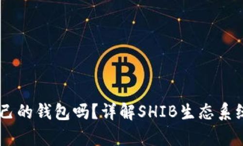 SHIB拥有自己的钱包吗？详解SHIB生态系统的资产管理