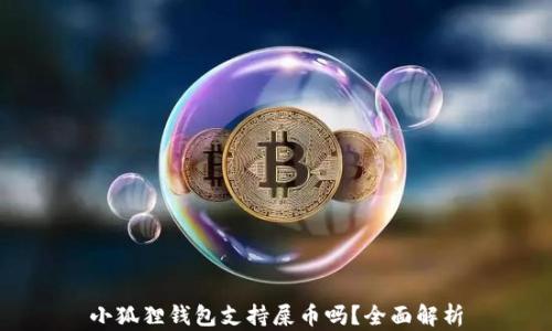 
小狐狸钱包支持屎币吗？全面解析