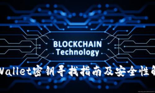 tpWallet密钥寻找指南及安全性解析