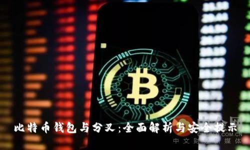 比特币钱包与分叉：全面解析与安全提示