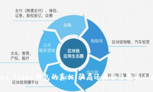 Plus Token钱包的真相：骗局还是合法投资工具？