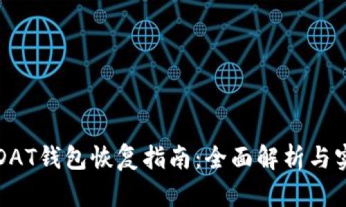 比特币DAT钱包恢复指南：全面解析与实用技巧