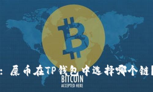 : 屎币在TP钱包中选择哪个链？