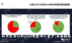 如何使用tpWallet观察他人资产：全面指南