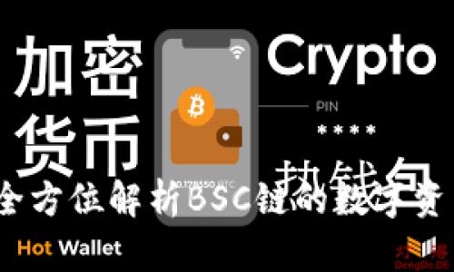 tpWallet：全方位解析BSC链的数字资产管理工具
