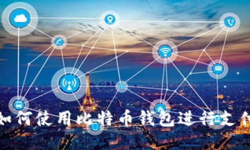 如何使用比特币钱包进行支付