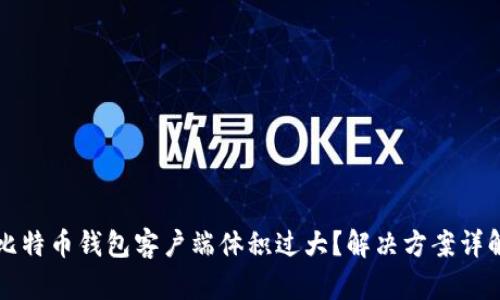 比特币钱包客户端体积过大？解决方案详解