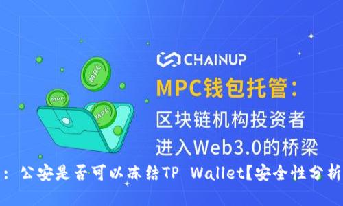 : 公安是否可以冻结TP Wallet？安全性分析
