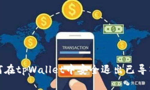 如何在tpWallet中安全退出已导入的